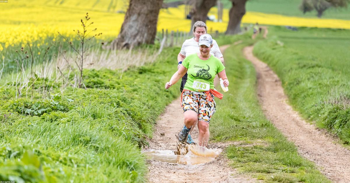 Chien qui revient au rappel en plein champ