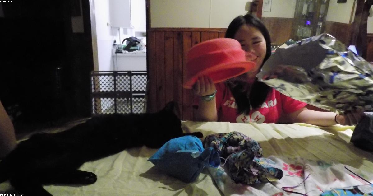 Chat senior au calme