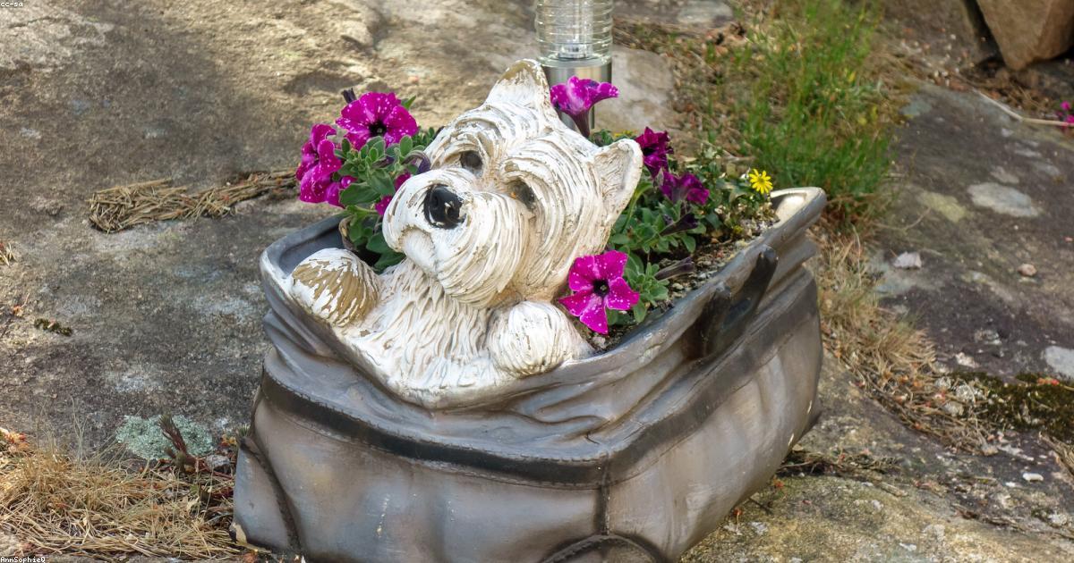 Chien à côté de bagages de vacances
